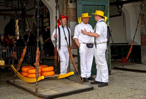 Cheese wheels being weighed