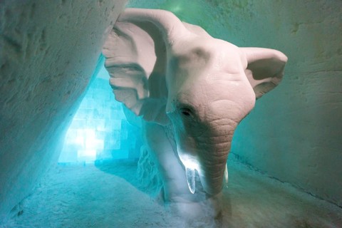 Elephant made of ice
