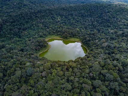 Lac Vert in the jungle