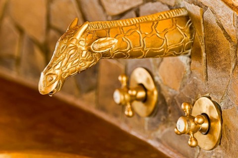 Giraffe brass fittings in bathroom