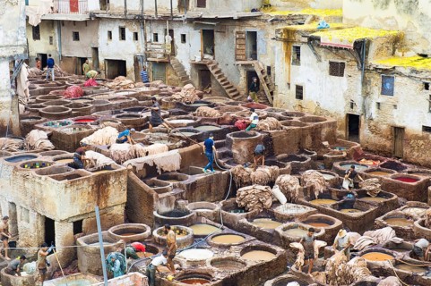 Tannery