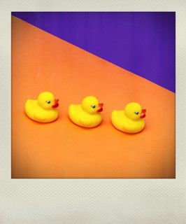 Polaroid effect of Yellow rubber ducks