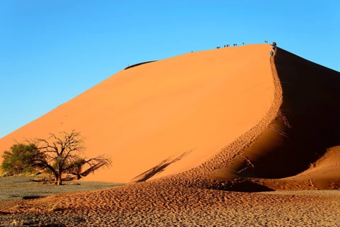 Dune 45