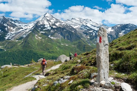 Three hikers on hiking trail