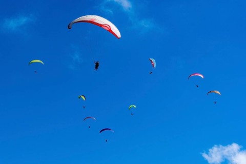 Many paragliders are flying in the air
