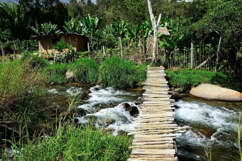 Wooden bridge over the river