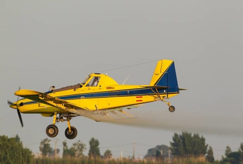 Crop duster plane flying low while spraying an anti mosquito substance onto the rice fields