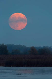 Red full moon over a lake