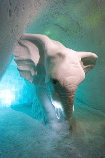 Elephant made of ice