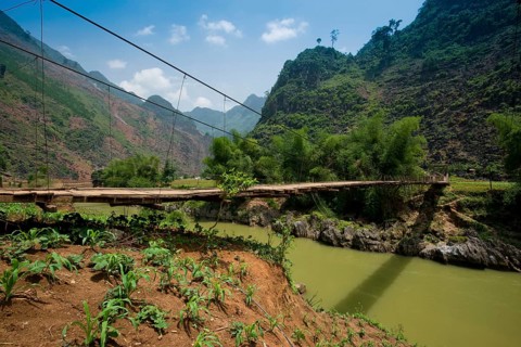 Simple suspension bridge