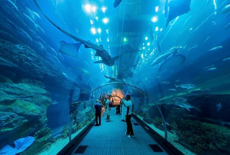 Underwater tunnels in the Dubai Aquarium and Underwater Zoo