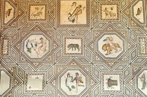 Roman Floor Mosaic