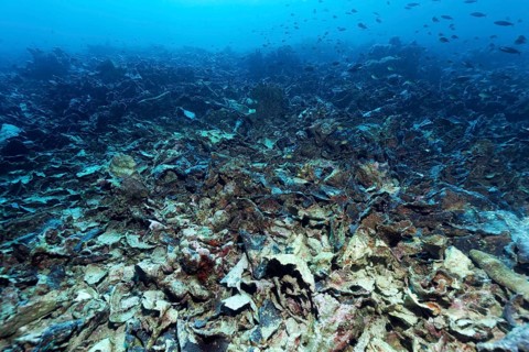 Climate phenomenon El Nino