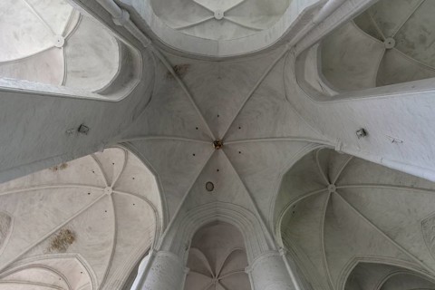 Domes