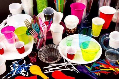 Disposable tableware