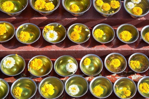 Bowls with saffron water and flowers