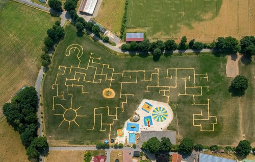 Terhardt corn maze