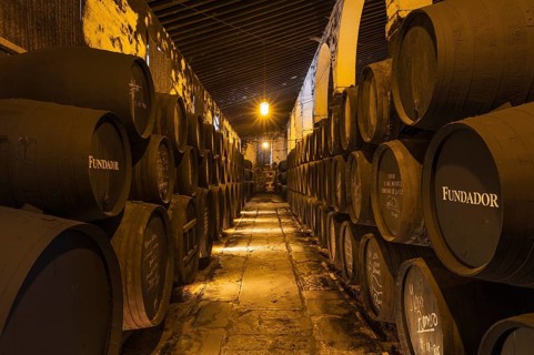 Stacked oak barrels in the wine cellar