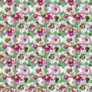 Wrapping paper