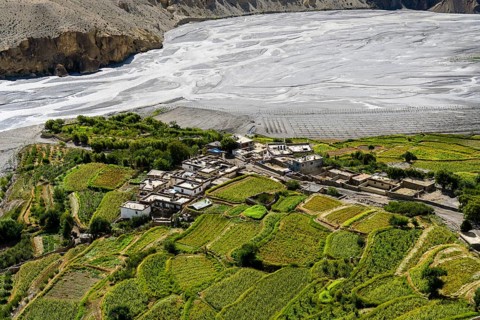 Aerial view of village