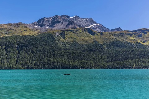 Silvaplana lake