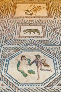 Roman Floor Mosaic