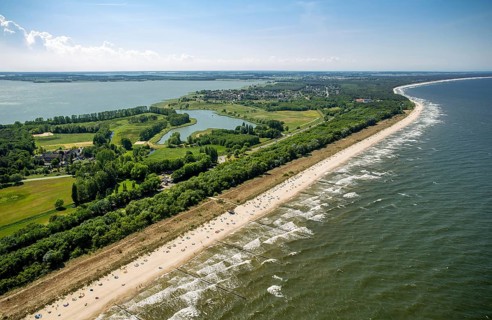 Damerow
