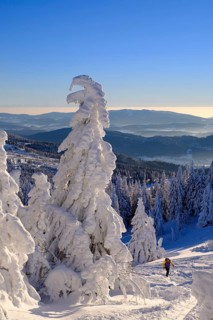 Ski tourers on Arbermandl