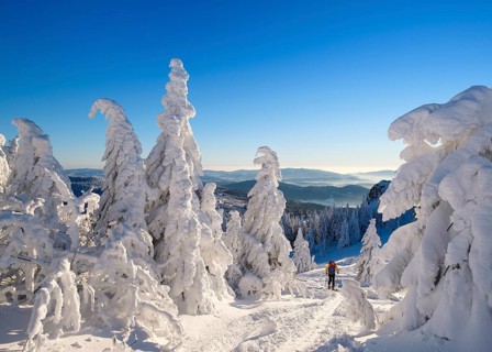 Ski tourers on Arbermandl