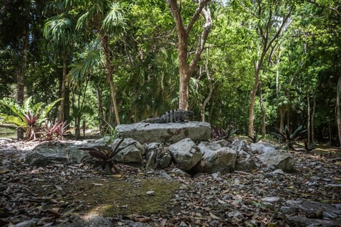 Xelha