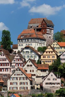 Cityscape with Castle Altensteig