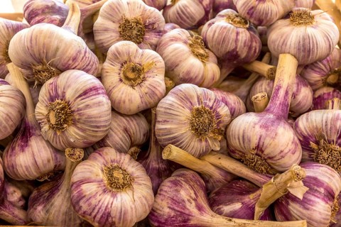 Fresh garlic for sale on a market stall