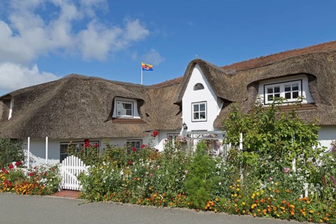 Thatched-roof house with summer flowers