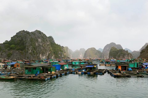 Floating fishing village