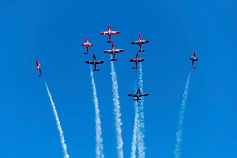 Canadian Armed Forces Snowbirds