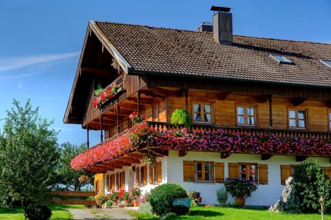 Flower-decorated farm