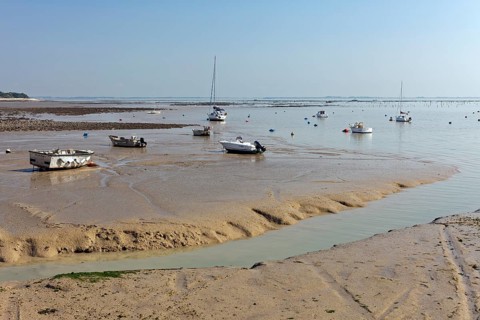 Boats at low tide