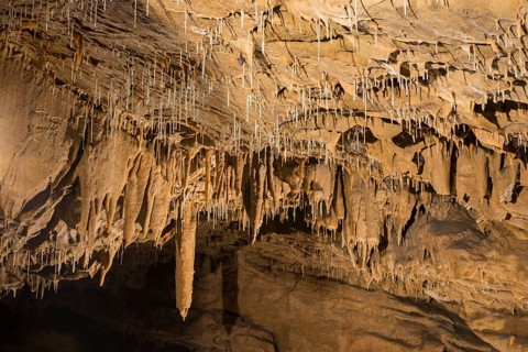 Stalactite