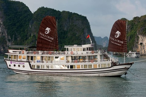 Tourist boat