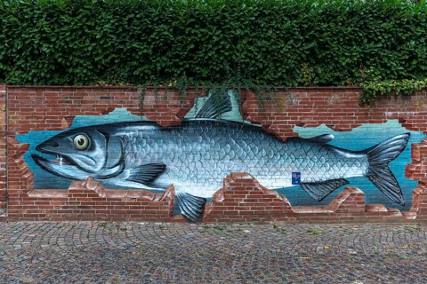 Fish as graffiti on a brick wall