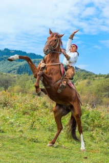 Man on an upright horse