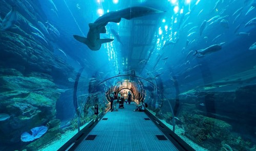 Underwater tunnels in the Dubai Aquarium and Underwater Zoo