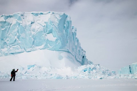 Iceberg