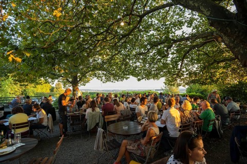 Beer garden