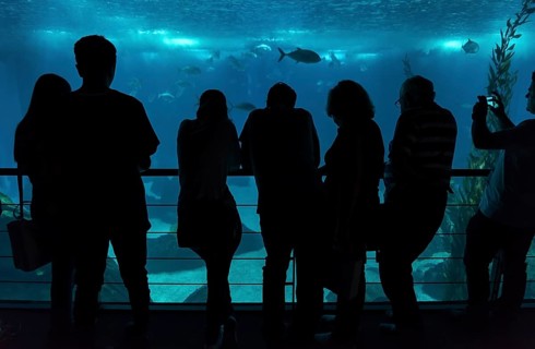 People inside Lisbon Oceanarium