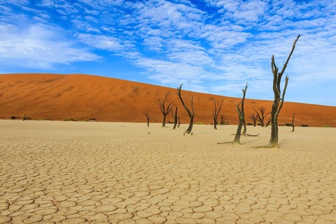 Dead trees and dry soil in Deadvlei