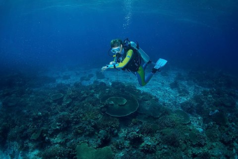 Diver at a coral reef checking his depth gauge