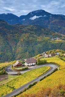 Serpentine with vineyards in autumn at Ritten