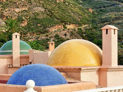 Fireplaces and multicoloured domes on one roof