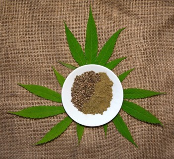 Hemp leaves (Cannabis) with hemp seeds and ground hempseed